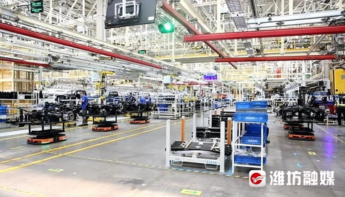 穩(wěn)扎穩(wěn)打有干頭 濰坊高新區(qū) 讓更多企業(yè)乘 數(shù) 而上