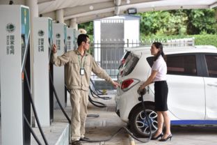 美媒 中國有條不紊打造全球最大電動(dòng)車市場 外企競相追隨